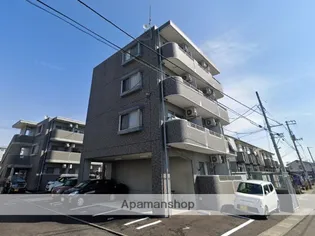 アミーゴタックの画像