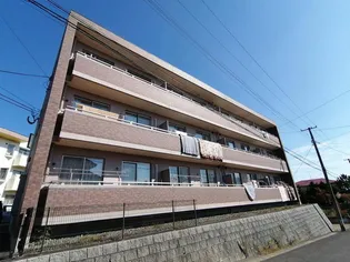 リリオミュウの画像