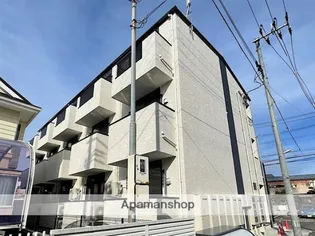 ライラックコートの画像