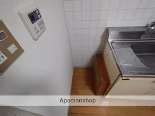 グリーンフィールドハウス【203号室】の内装