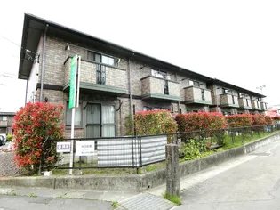 セジュールひかりD棟の画像