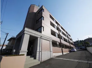 グリーンリーフ泉【4階】の外観