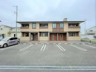 プラシードAの画像