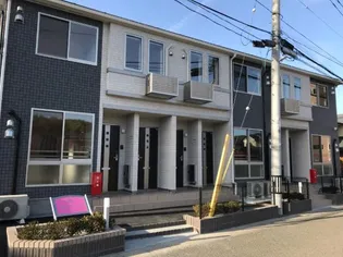 ルピナス コートの画像