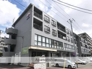 セントレアカマIの画像