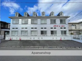 カーサセレッソ【204号室】の外観