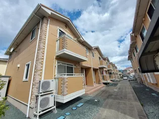 パセオプラシード VVIVII【V202号室】の外観