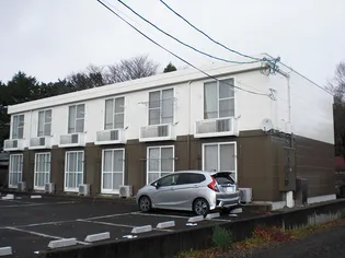 レオパレスラテラの画像