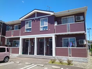 パレシャルマンBの画像