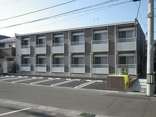 レオネクスト桜の画像