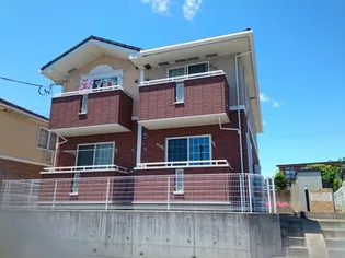 プリムローズの画像