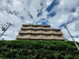 ダイアパレス泉崎【4階】の外観