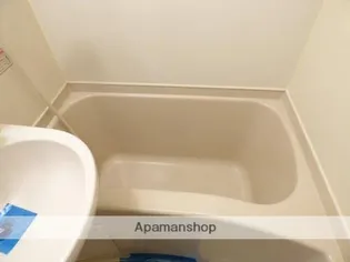 メゾン・ド・エルヴェ【407号室】の風呂