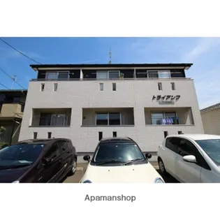 トライアンフの画像