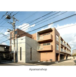 DOLCE柏木の画像