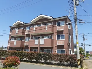 サンリットの画像