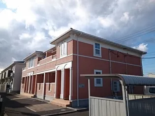 プラシードの画像