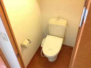 レオパレスフェリーチェ【207号室】のその他画像