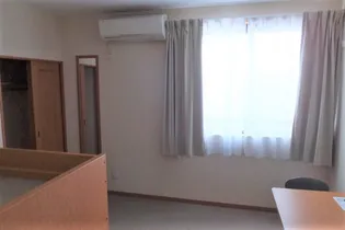 レオパレスデキシントン街767【208号室】の居間