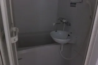 レオパレスデキシントン街767【101号室】の風呂