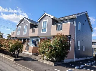 ノヴェル Aの画像