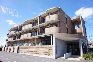 デスパシオの画像