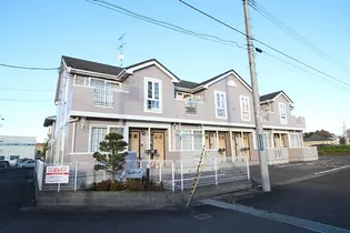 プリムローズの画像