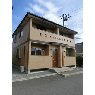 エム エスの画像