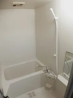 エルデムZEN B【2階】の風呂