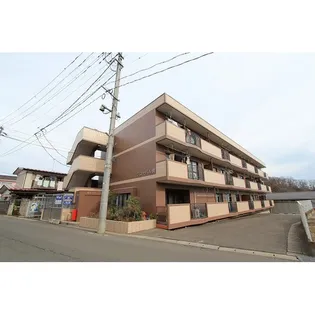 グローバル泉の画像