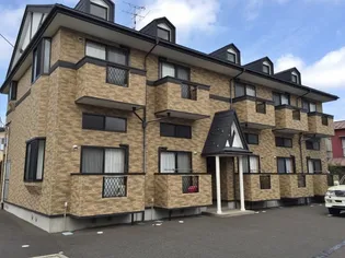 サゥーヂビバIIの画像