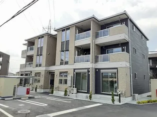 テンピィオプリマの画像