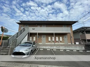 E コート ジェネラスの画像