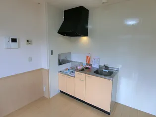 ドリームヒルズ B【203号室】のキッチン