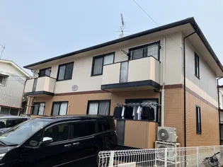 シュロスの画像