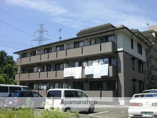 ハイカムールBの画像