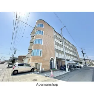 サン アムール11の画像