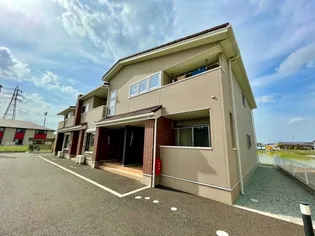 プラシードSKIIIの画像