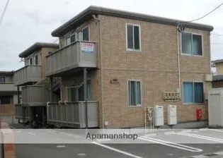 サンフラワーの画像