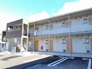 クレイノデイジーの画像