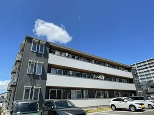 サンコートの画像