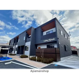 CALME PLEIADESの画像