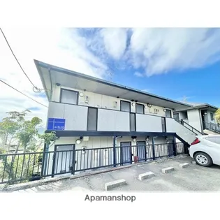 ディアスひまわりの画像