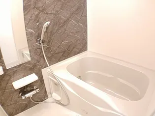 ソルトハウス【1階】の風呂