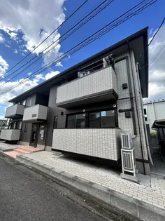 ウィルモアFの画像