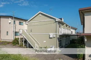 ゼルコバの画像