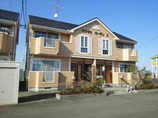 カクタス ガーデンIIの画像