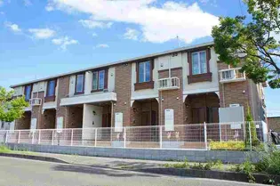 ソレイユの画像