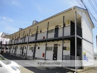 スターリースカイの画像