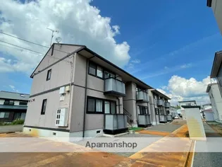 チコリー若葉の画像